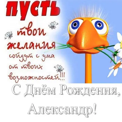 Александра, поздравляю с Днем рождения!!! — Скачайте на Davno.ru