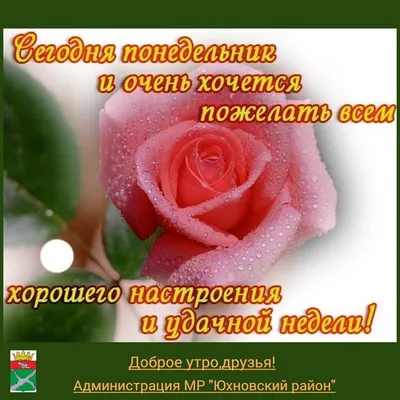 С началом новой недели, друзья 🌷 — Юлия Хлопцева на TenChat.ru