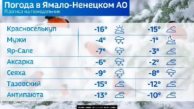 Пасмурно, но без осадков: прогноз погоды на начало новой недели в ЕАО -  EAOMedia.ru