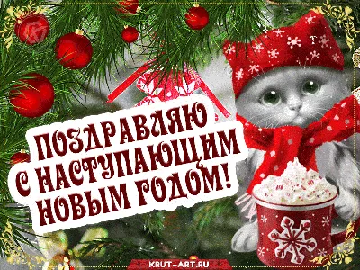 С наступающим Новым Годом и Рождеством! - Кругозор Тула