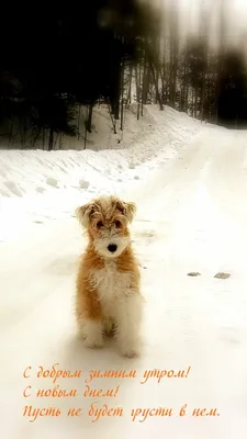 Картинка: С Добрым Утром! С новым днём!