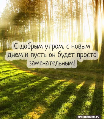 𝑺𝑽𝑬𝑻𝑰𝑲 - С добрым утром, новым днём, Пусть тебе везёт во всём, Пусть  добро придёт с утра И наполнит день до дна Лишь добром, теплом, уютом И  случится всё как будто В