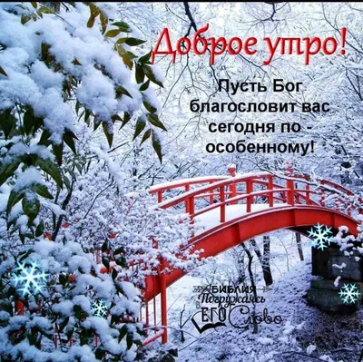 С новым добрым днём #пожелания | TikTok