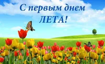 С ПЕРВЫЙ 🌸🍃🌺🌿🌸 ДНЁМ ЛЕТА! | Открытки, Милые открытки, С днем рождения