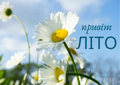 Первый день лета: поздравления в прозе и стихах, картинки на украинском —  Украина