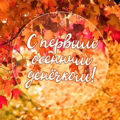 С первым осенним днём!🍁🍂 | Осень, Осенние картинки, Доброе утро