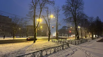 Первый снег в парке города стоковое изображение. изображение насчитывающей  зеленый - 99453393