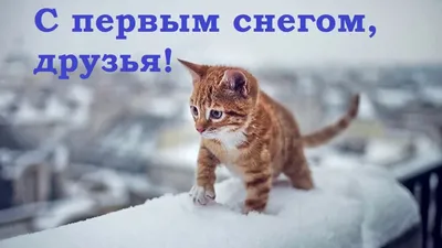 Иркутск. Первый снег. 1 Октября 2015г. | Пикабу