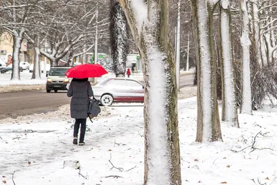 Челябинск накрыло первым снегом