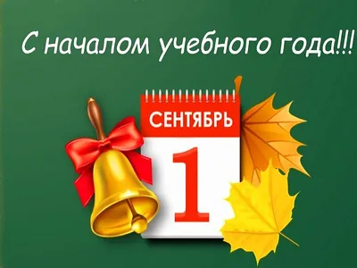 С Днём знаний и началом нового учебного года! — ВТБ Профсоюз