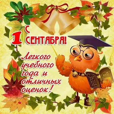 С первым днем осени,с днем знаний!!!!📖 — Татьяна Сарапульцева на TenChat.ru