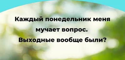 С понедельником! Всем хорошей недели! Минутка позитива! Друзья присылайте  Ваши фото, видео, арты, новости… | Instagram