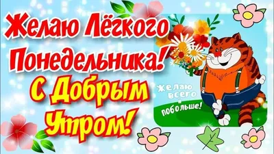 С понедельником друзья! — Дневник добрых дел