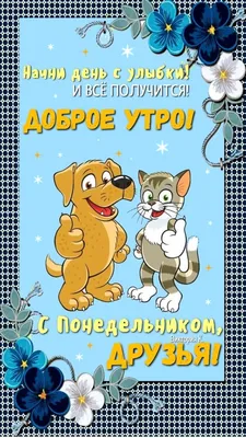 Друзья, с понедельником!✨ Лёгкой трудовой недели!☀️ Вчера, 19.01.2020,  состоялось 3 Турнира Выходного Дня🏆🎾 ⠀ Соревнования прошли в… | Instagram