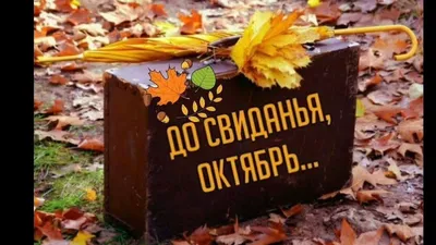 скачать бесплатно пожелания доброго утра и последним днем октября｜Поиск в  TikTok
