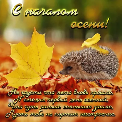 🍂❄️🍁🏠🍁❄️🍂 С последним днем Осени! | Сказки, Открытки, Осень