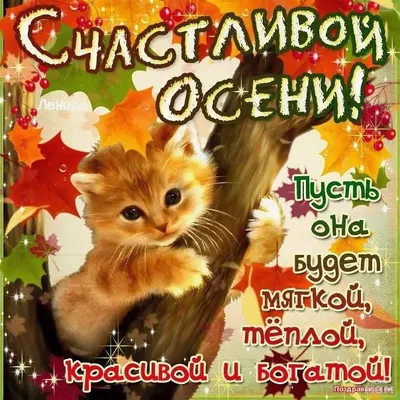 🌞 С последним осенним утром! | Поздравления, пожелания, открытки с Новым  годом! | ВКонтакте
