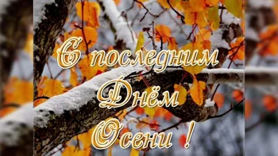 Последний день осени 2023 года: картинки и открытки к 30 ноября - МК  Волгоград
