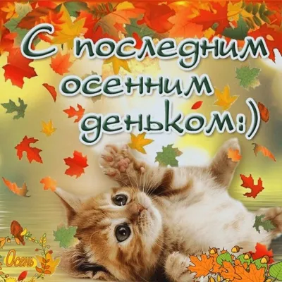 🍂🍒🍁🏠🍁🍒🍂 С последним днем Осени! | Открытки, Осень, Картинки