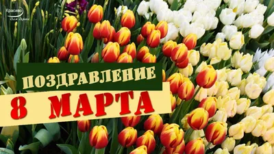 С наступающим 8 Марта, милые дамы! — Nice