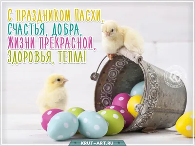 Со светлым праздником Пасхи! – Белорусский национальный технический  университет (БНТУ/BNTU)