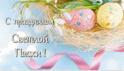 Поздравляем с праздником Светлой Пасхи! - новости
