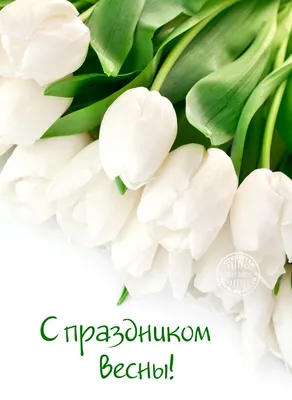 С праздником весны! | Открытки, Маки цветы, Праздничные открытки