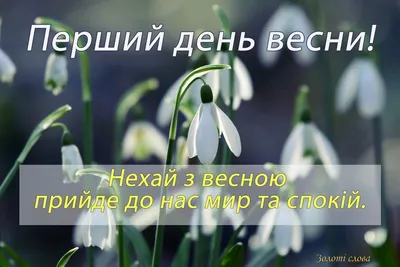 Вафельная картинка 8 Марта. С Праздником Весны. Восьмое Марта-2 (А4) купить  в Украине