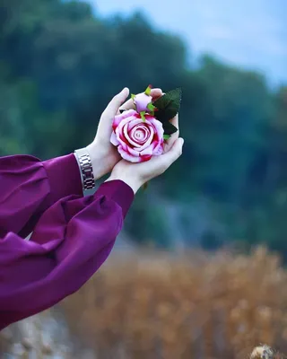 Фотография руки, держащей цветок, на зеленом фоне