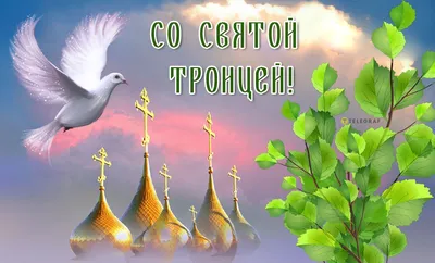 С Троицей 2022 Украина: поздравления в стихах, прозе, картинках на Зеленые  праздники