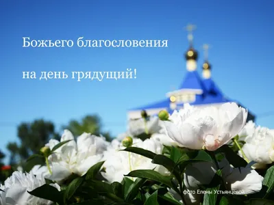 Глянцевый журнал VotGe - С добрым Воскресным днем, наши любимые ❤️❤️❤️ . .  . #votge #glyanets #bewithVotGe #goodmorning #sunday #severodonetsk  #lisichansk | Facebook