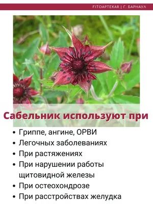 Фиточай - Сабельник, 50 г - Original Herbs