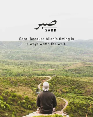 Sabr Pictures | Download Free Images on Unsplash