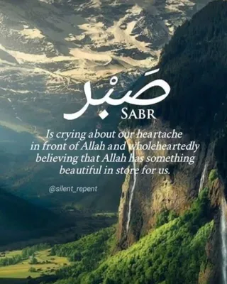 Sabr Pictures | Download Free Images on Unsplash