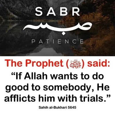 SABR