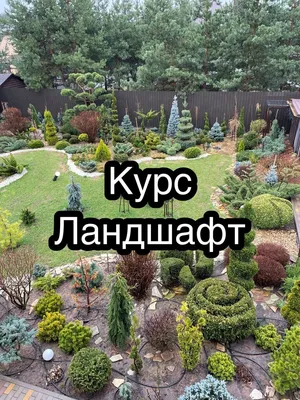 Сад своими руками - 👉 Красивые идеи для Вашей клумбы 😍 #идеидлясада  #красотавсаду #клумба #украситьклумбу #садсвоимируками | Facebook