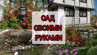 Сад камней на даче:как своими руками украсить участок - 7Дней.ру