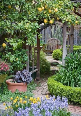 Сад возле дома как идеальное место для отдыха и релаксации | ЖИЗНЬ  ГАСТАРБАЙТЕРА