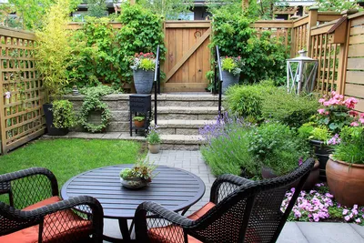 Декоративный сад вокруг дома Стоковое Изображение - изображение  насчитывающей напольно, зеленый: 129286193