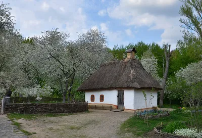 Фотографія Садок вишневий коло хати / MarynaK. / photographers.ua