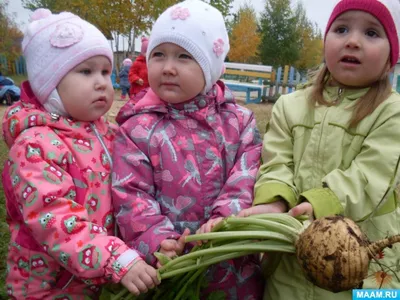 Садовник Иллюстрация С Детьми Садовые Инструменты Сельское Хозяйство  Выращивание Овощей В Ботаническом Летнем Садоводстве Мультфильм Р —  стоковая векторная графика и другие изображения на тему Векторная графика -  iStock