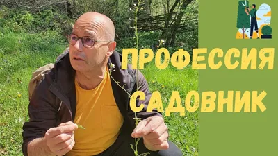 Садовник и господа. Ганс Христиан Андерсен | Сказки для детей. 0+ - YouTube