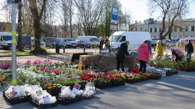 Изображение садовых каминов для создания романтической атмосферы на природе