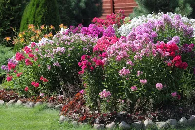 Фото Садовых Аквариумов И Палисадников: добавьте романтики в ваш сад с помощью воды