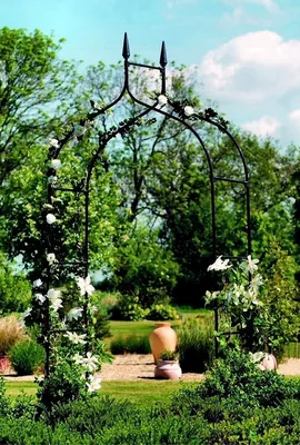 Изображение идеальной садовой арки и перголы