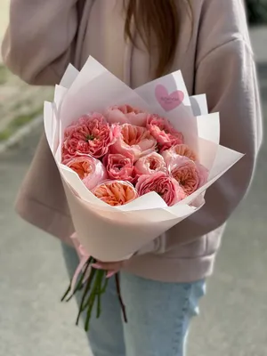 Садовые розы №1136545 - купить в Украине на Crafta.ua