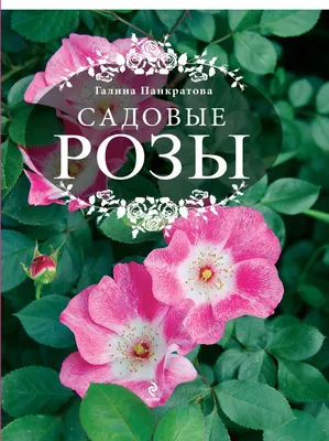 Букет из пионовидных роз купить Владивосток