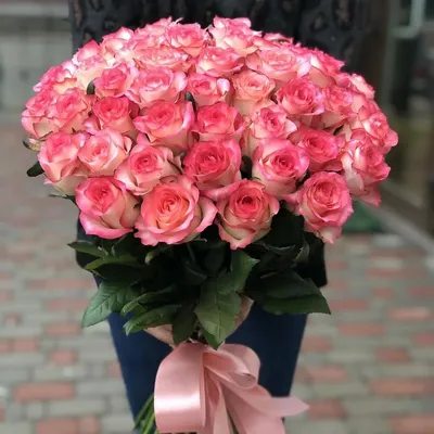 Крупным планом фото розовые садовые розы цветы · Бесплатные стоковые фото