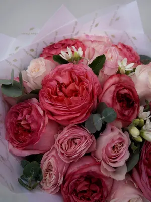 Садовые розы стоковое изображение. изображение насчитывающей валы -  161434763