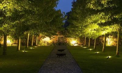Оригинальная фотография садовых светильников и фонарей